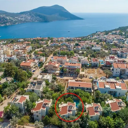 Helisonia * Kalkan