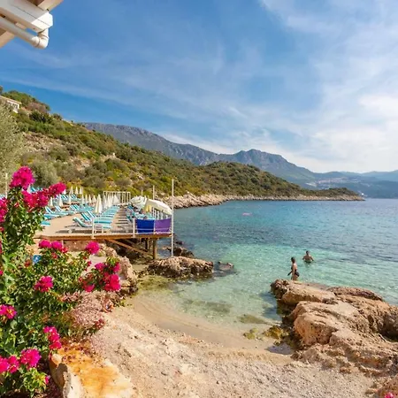 Helisonia * Kalkan
